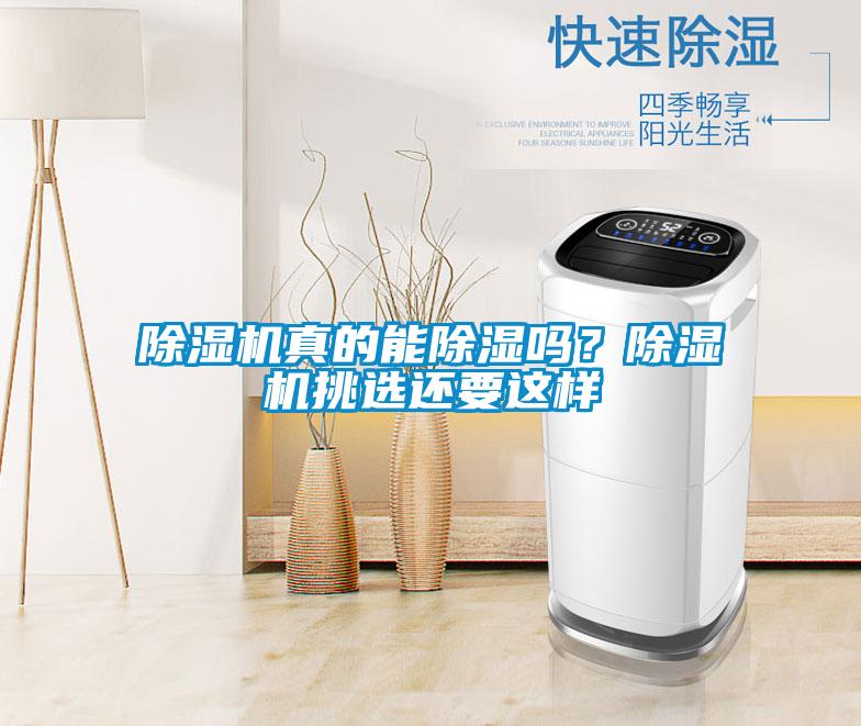 除濕機真的能除濕嗎？除濕機挑選還要這樣