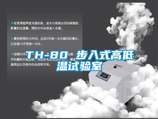 TH-80 步入式高低溫試驗室