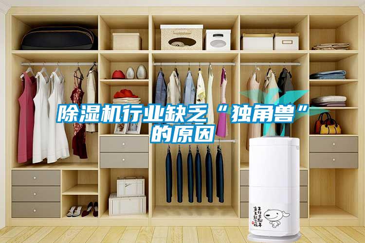 除濕機(jī)行業(yè)缺乏“獨(dú)角獸”的原因