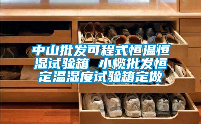 中山批發可程式恒溫恒濕試驗箱 小欖批發恒定溫濕度試驗箱定做