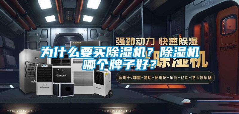 為什么要買除濕機？除濕機哪個牌子好？