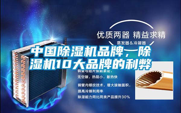 中國除濕機品牌，除濕機10大品牌的利弊