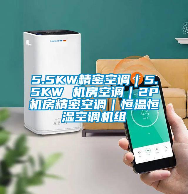 5.5KW精密空調(diào)｜5.5KW 機(jī)房空調(diào)｜2P機(jī)房精密空調(diào)｜恒溫恒濕空調(diào)機(jī)組