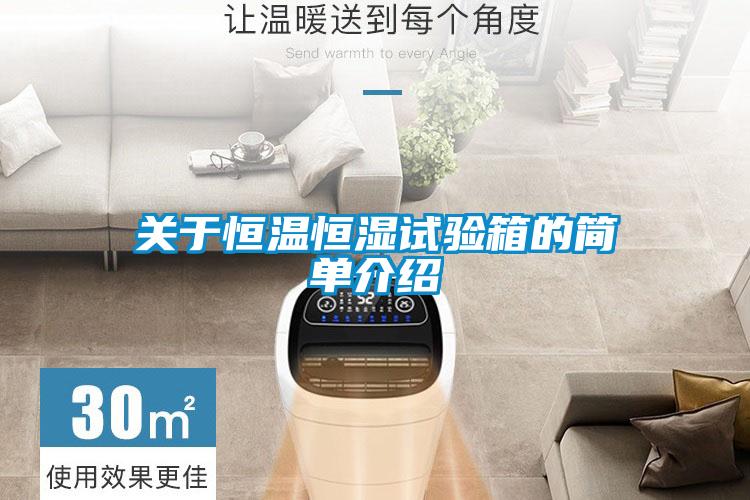 關于恒溫恒濕試驗箱的簡單介紹