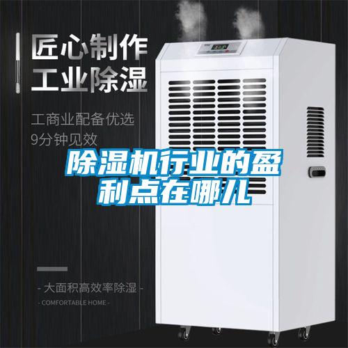 除濕機(jī)行業(yè)的盈利點(diǎn)在哪兒