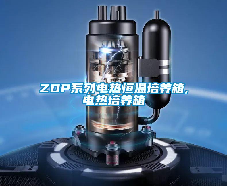ZDP系列電熱恒溫培養(yǎng)箱,電熱培養(yǎng)箱