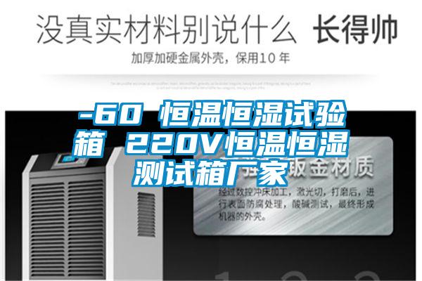 -60℃恒溫恒濕試驗箱 220V恒溫恒濕測試箱廠家