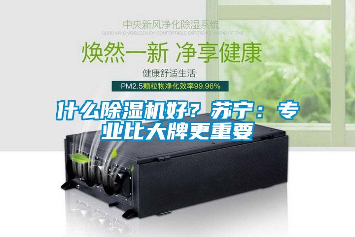 什么除濕機好？蘇寧：專業比大牌更重要