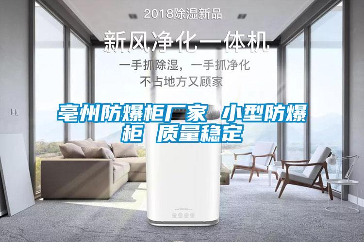 亳州防爆柜廠家 小型防爆柜 質量穩(wěn)定