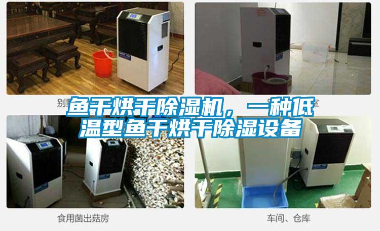魚干烘干除濕機，一種低溫型魚干烘干除濕設備