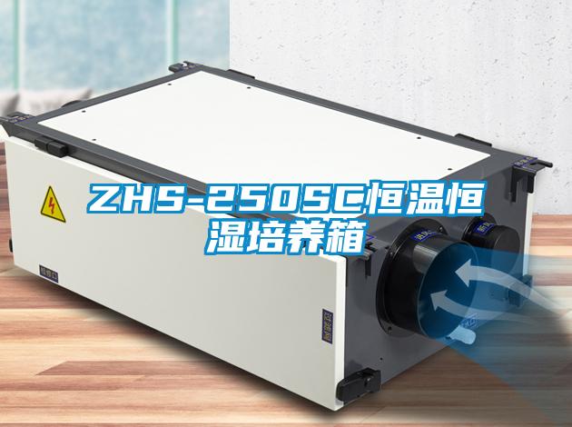 ZHS-250SC恒溫恒濕培養箱