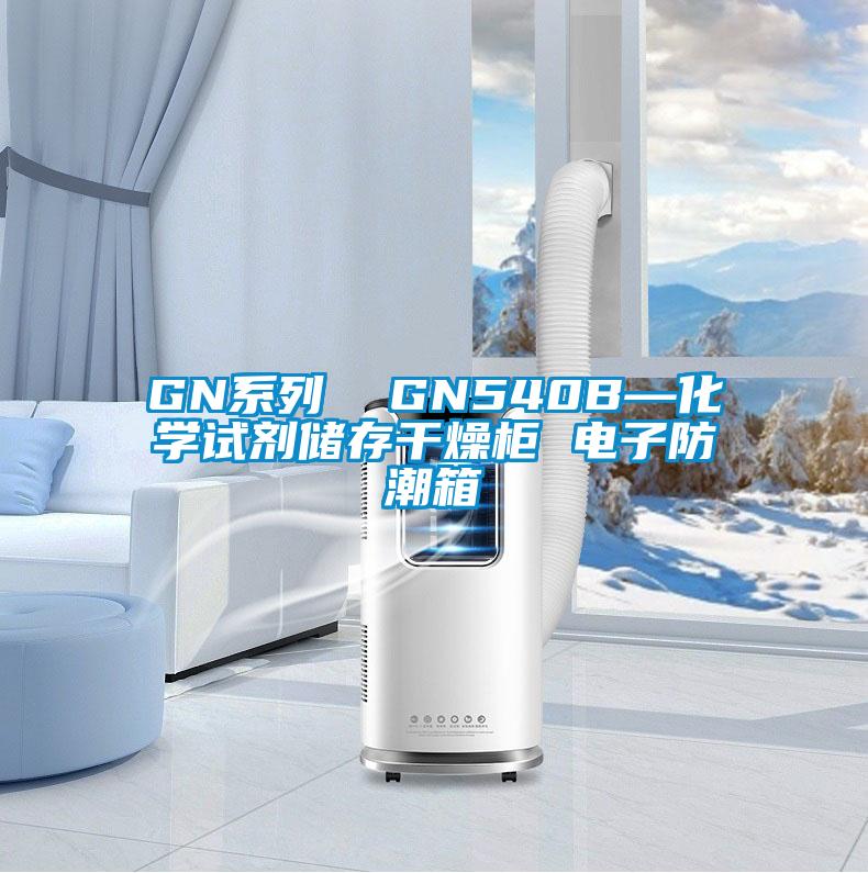 GN系列  GN540B—化學試劑儲存干燥柜 電子防潮箱