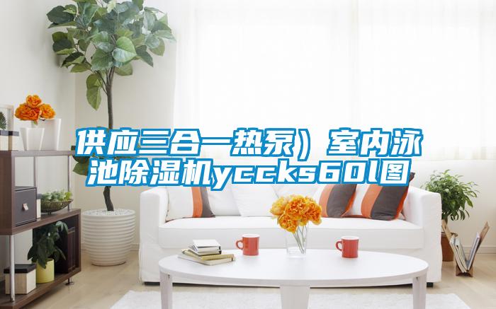 供應(yīng)三合一熱泵）室內(nèi)泳池除濕機yccks60l圖