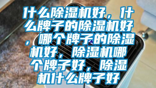 什么除濕機好，什么牌子的除濕機好，哪個牌子的除濕機好，除濕機哪個牌子好，除濕機什么牌子好