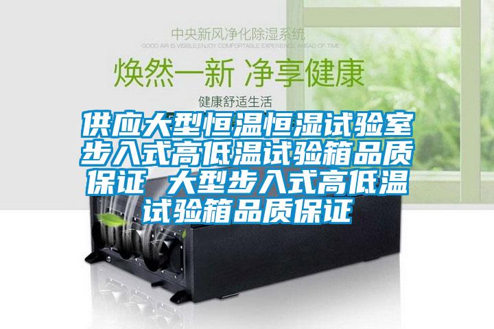 供應大型恒溫恒濕試驗室步入式高低溫試驗箱品質保證 大型步入式高低溫試驗箱品質保證