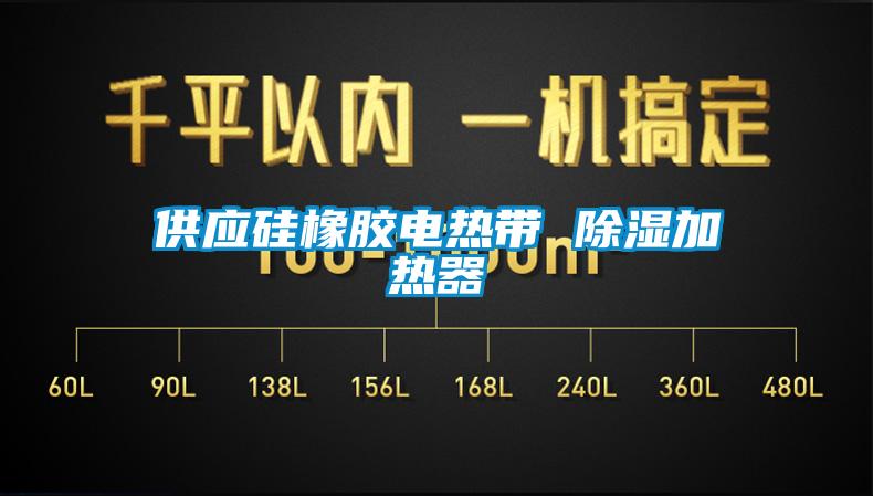 供應硅橡膠電熱帶 除濕加熱器