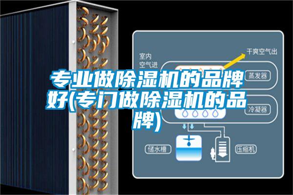 專業做除濕機的品牌好(專門做除濕機的品牌)