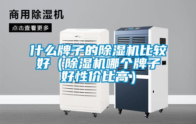 什么牌子的除濕機比較好（除濕機哪個牌子好性價比高）