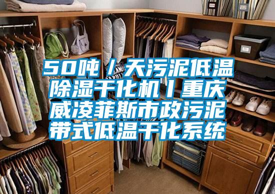 50噸／天污泥低溫除濕干化機丨重慶威凌菲斯市政污泥帶式低溫干化系統