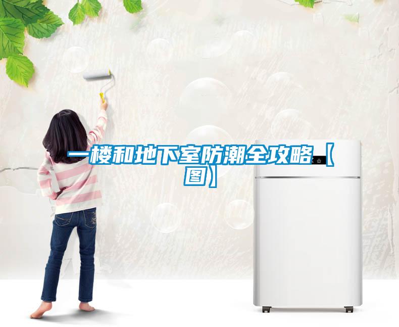 一樓和地下室防潮全攻略【圖】