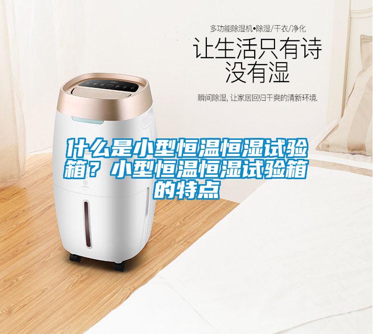 什么是小型恒溫恒濕試驗(yàn)箱？小型恒溫恒濕試驗(yàn)箱的特點(diǎn)