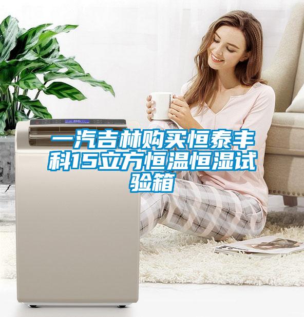 一汽吉林購買恒泰豐科15立方恒溫恒濕試驗箱