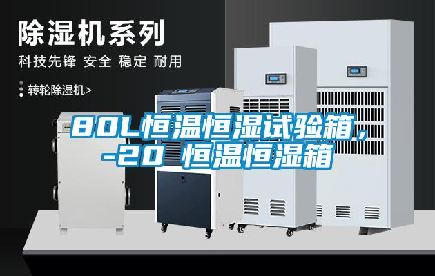 80L恒溫恒濕試驗箱，-20℃恒溫恒濕箱