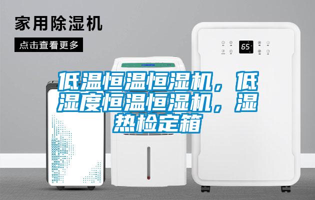 低溫恒溫恒濕機，低濕度恒溫恒濕機，濕熱檢定箱