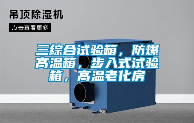 三綜合試驗箱，防爆高溫箱，步入式試驗箱，高溫老化房
