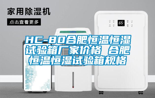 HC-80合肥恒溫恒濕試驗箱廠家價格 合肥恒溫恒濕試驗箱規格