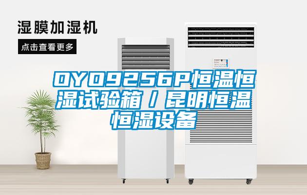 OYO9256P恒溫恒濕試驗箱／昆明恒溫恒濕設(shè)備