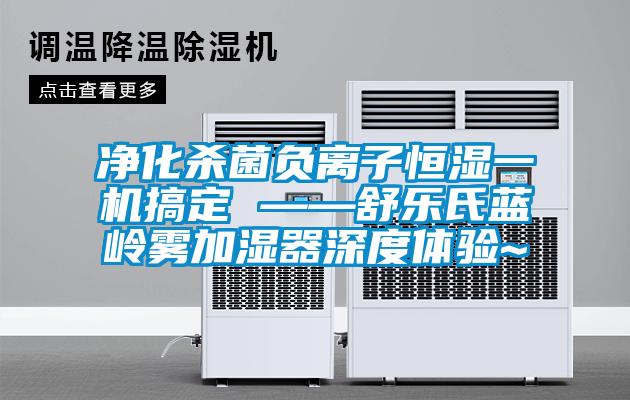 凈化殺菌負離子恒濕一機搞定 ——舒樂氏藍嶺霧加濕器深度體驗~