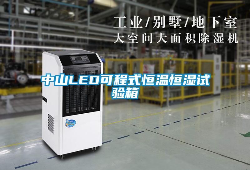 中山LED可程式恒溫恒濕試驗箱