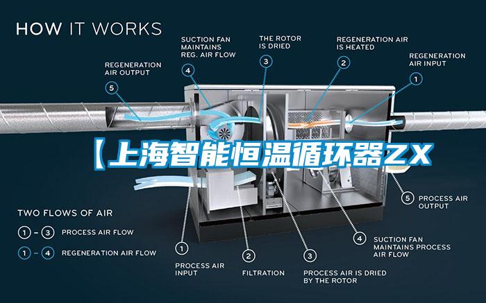 【上海智能恒溫循環(huán)器ZX