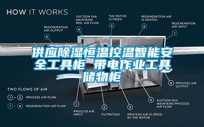 供應(yīng)除濕恒溫控溫智能安全工具柜 帶電作業(yè)工具儲(chǔ)物柜