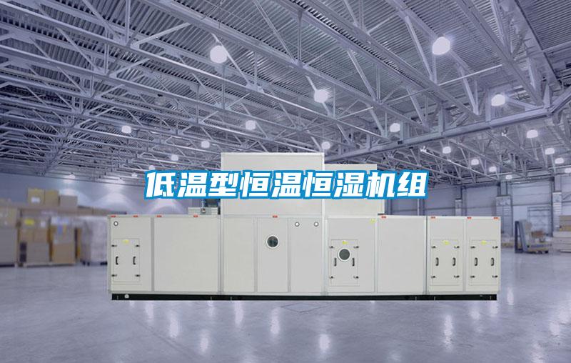 低溫型恒溫恒濕機(jī)組