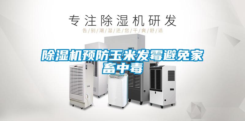 除濕機預防玉米發霉避免家畜中毒