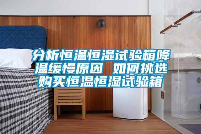 分析恒溫恒濕試驗箱降溫緩慢原因 如何挑選購買恒溫恒濕試驗箱
