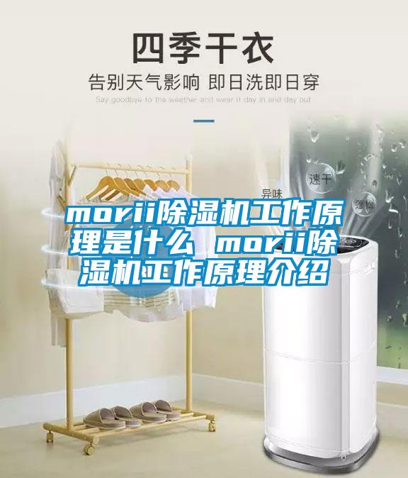 morii除濕機工作原理是什么 morii除濕機工作原理介紹