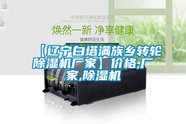 【遼寧白塔滿族鄉(xiāng)轉(zhuǎn)輪除濕機(jī)廠家】?jī)r(jià)格,廠家,除濕機(jī)