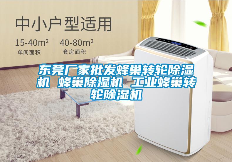 東莞廠家批發蜂巢轉輪除濕機 蜂巢除濕機 工業蜂巢轉輪除濕機