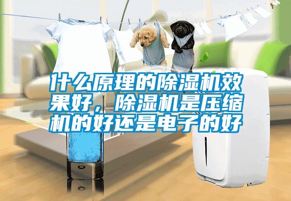 什么原理的除濕機效果好，除濕機是壓縮機的好還是電子的好