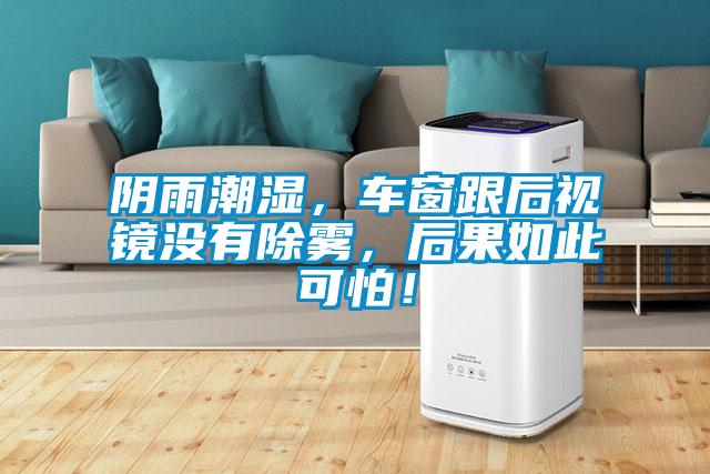 陰雨潮濕，車窗跟后視鏡沒有除霧，后果如此可怕！
