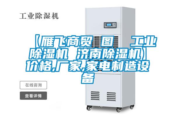 【雁飛商貿 圖  工業除濕機 濟南除濕機】價格,廠家,家電制造設備