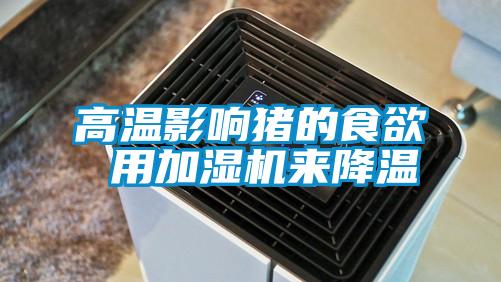 高溫影響豬的食欲 用加濕機(jī)來(lái)降溫