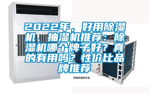 2022年，好用除濕機、抽濕機推薦：除濕機哪個牌子好？真的有用嗎？性價比品牌推薦