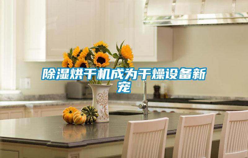 除濕烘干機成為干燥設備新寵
