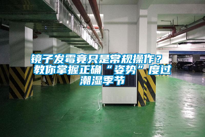 鏡子發(fā)霉竟只是常規(guī)操作？ 教你掌握正確“姿勢”度過潮濕季節(jié)