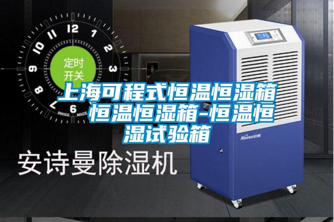 上海可程式恒溫恒濕箱  恒溫恒濕箱-恒溫恒濕試驗箱
