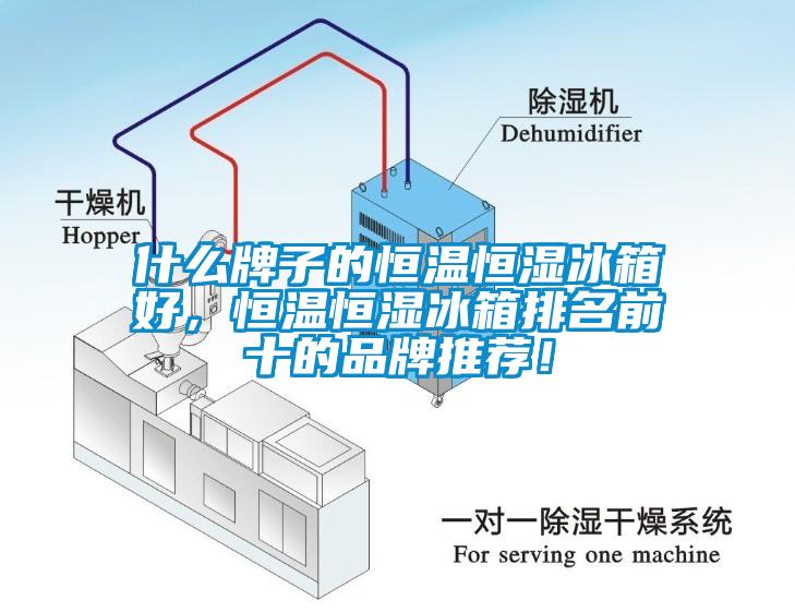 什么牌子的恒溫恒濕冰箱好，恒溫恒濕冰箱排名前十的品牌推薦！
